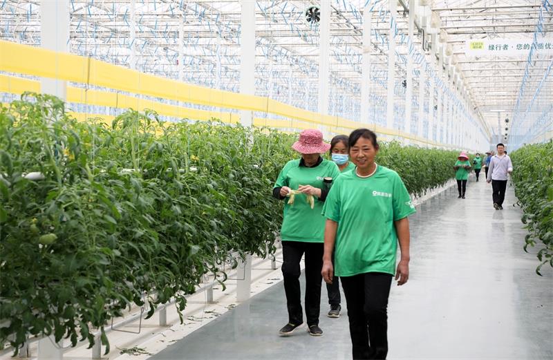 1 智慧大棚里上班的村民下班了.JPG