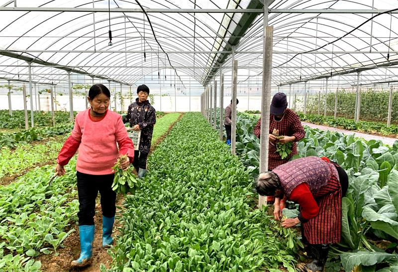 /uploads/image/2020/12/02/30e9f5d82f348f7ac7cf91073d14f094.jpg 陈宗明2.jpg