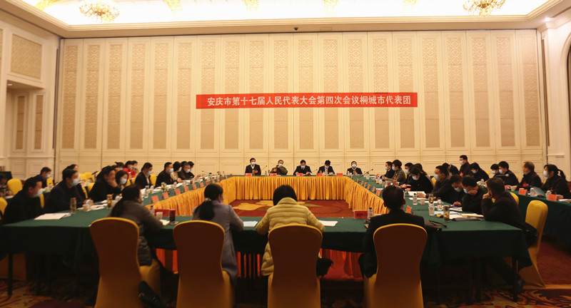 十七届四次会议桐城代表团召开第三次会议3.JPG