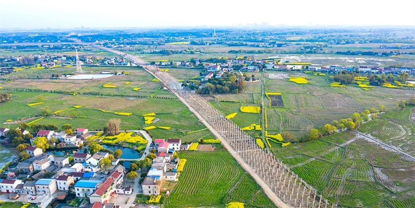 /uploads/image/2021/10/11/a8b2ae5ec73a0356c6011878293f69b6.jpg 在建的德上高速.jpg