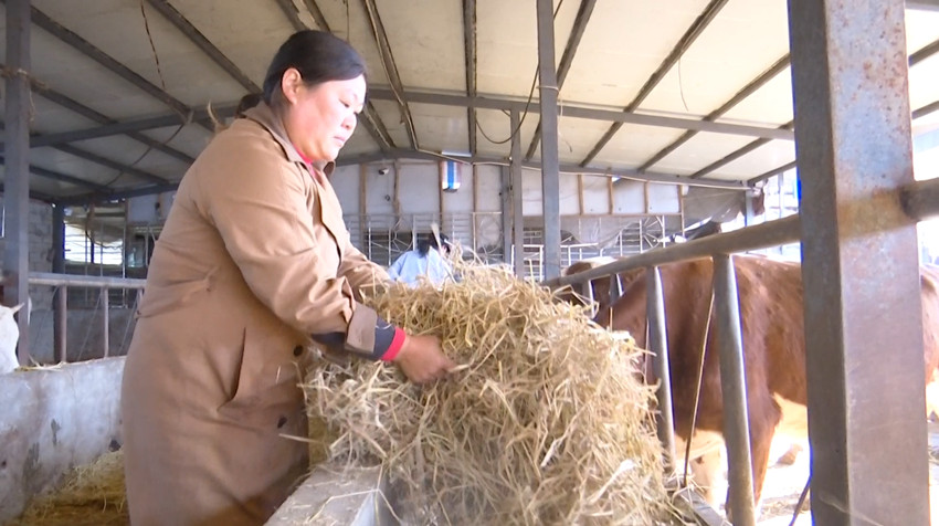 /uploads/image/2021/12/02/fd3939a3a786f97c6a93b63e6774371e.jpg 1638432002(1).jpg