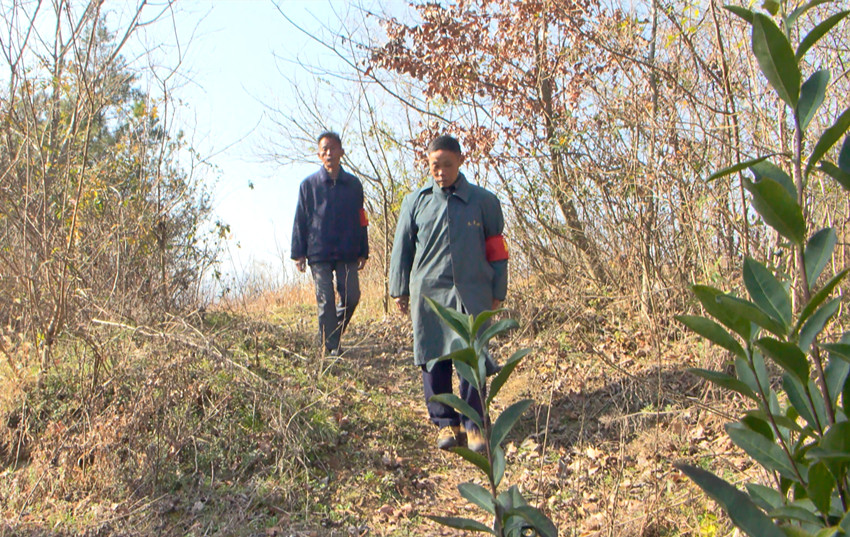 /uploads/image/2021/12/23/ac39b8bd8ff56eb623ca16b937fc4e7e.jpg 图为护林员巡山。.jpg