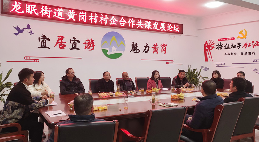 /uploads/image/2021/12/23/ddbfaeaf51c6f3b8a0724ec6412ba72a.jpg 龙眠街道黄岗村召开村企合作共谋发展论坛会.jpg