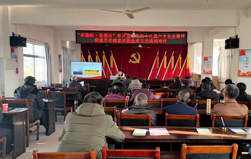 “举旗帜·送理论”学习贯彻党的十九届六中全会精神桐城市巾帼宣讲团走进大关镇胡埠村.jpg