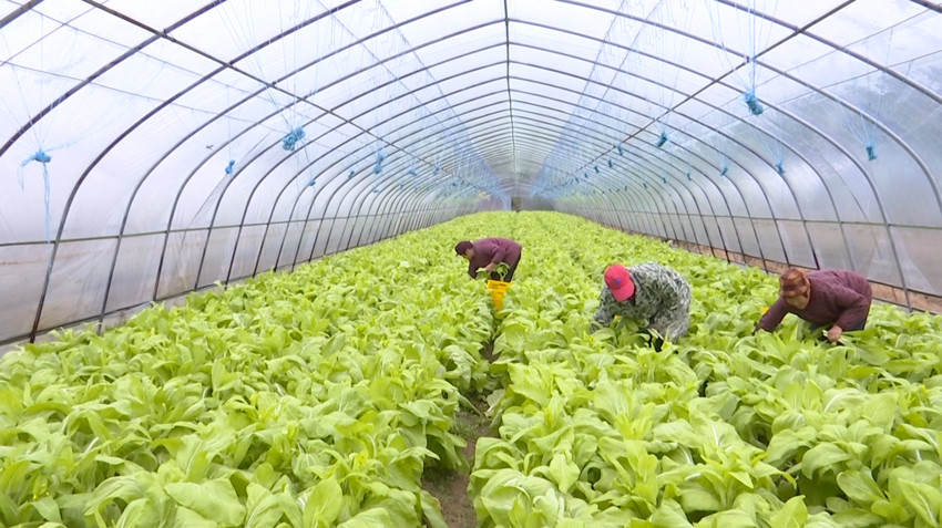 /uploads/image/2022/01/28/45b6e3d65f2aa5f9919eeab890ce1adc.jpg 1643348605.jpg