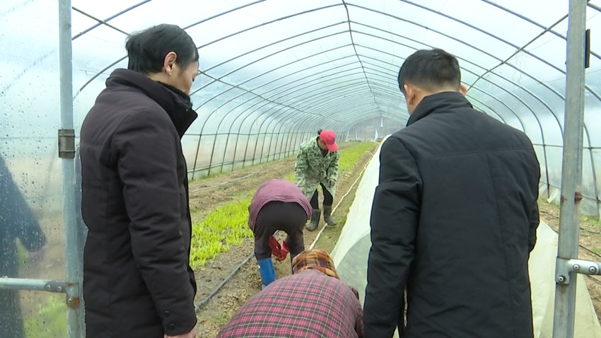 /uploads/image/2022/01/28/d04b0ba90869d92bfd79510919abfcdc.jpg 1643348638(1).jpg