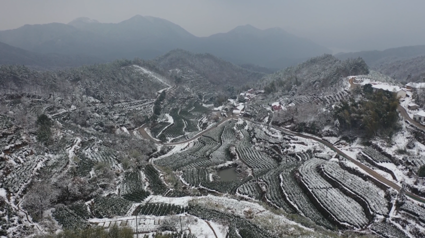 /uploads/image/2022/01/29/59881afd0e441ecf3e495ec205f48a81.png 1643451689(1).png