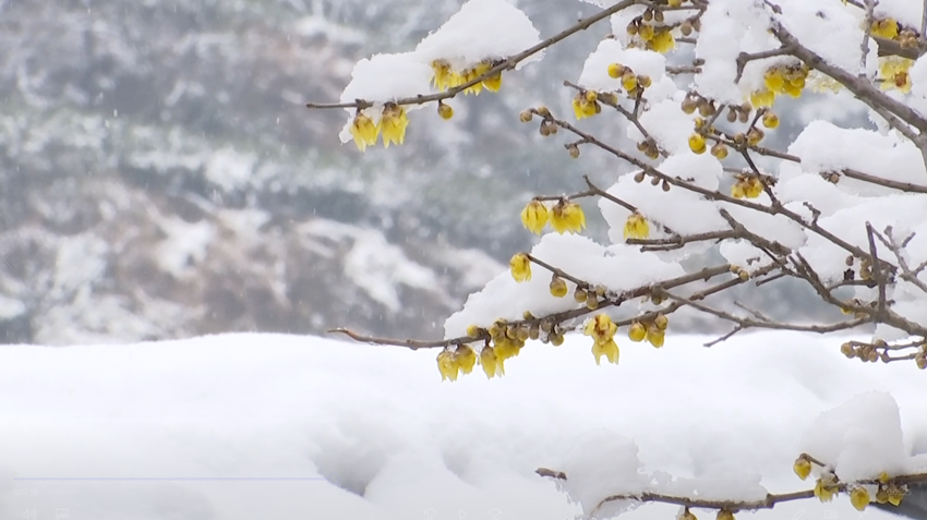 /uploads/image/2022/01/29/145d6c816c12f6399a89e3c13d473b46.png 1643451629(1).png