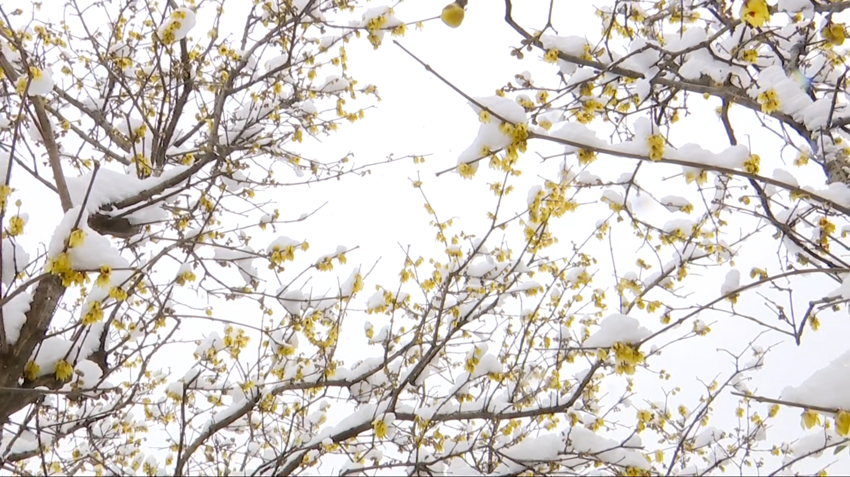 /uploads/image/2022/01/29/06bd7cae1ec3e248a307ed6435789c2b.png 1643451658(1).png