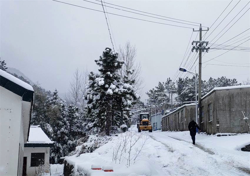 /uploads/image/2022/02/09/3565583b3d03f1f3badf6ae919dbae9f.jpg 4.jpg