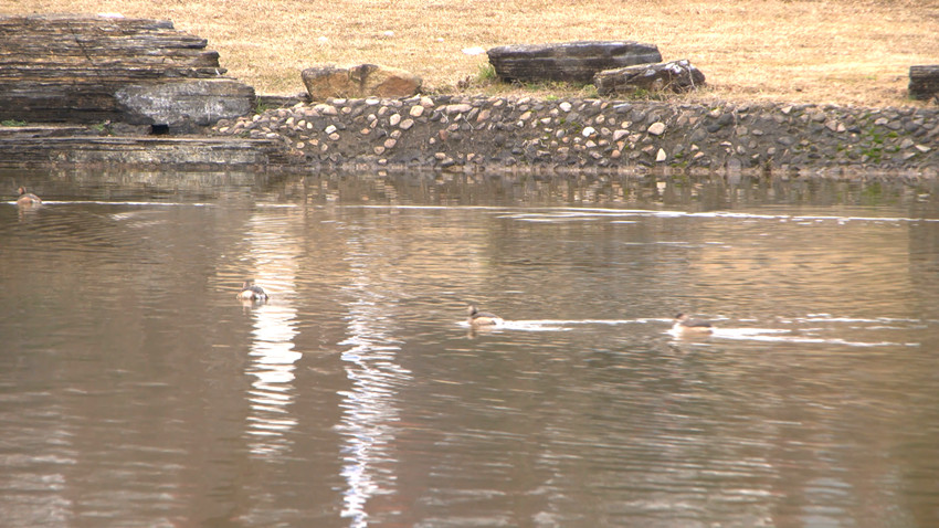 /uploads/image/2022/02/10/6ec566b471e0df2d707d4f687676fea5.jpg y2.jpg