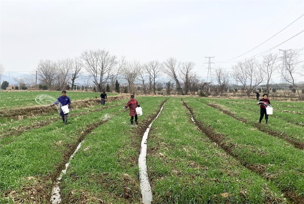 /uploads/image/2022/02/23/aee432cb54e8874ea354740a9711a614.jpg 4.jpg