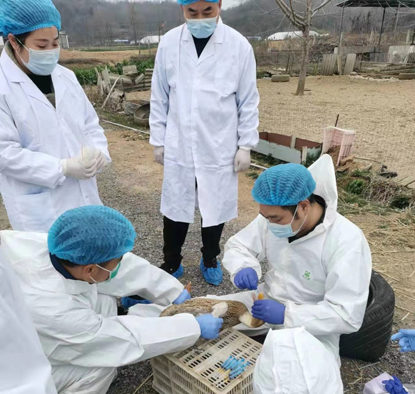 /uploads/image/2022/03/02/8e6468d9d328c9e0766ca4f86c403b14.jpg 图为采样现场.jpg