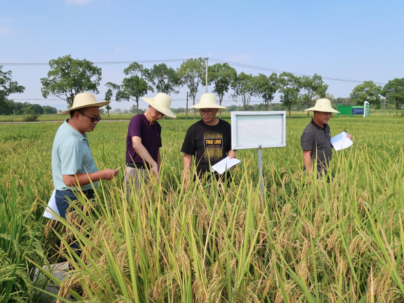 /uploads/image/2022/03/03/3d952d02b47bb4f380df0c205b796354.png proxy.png