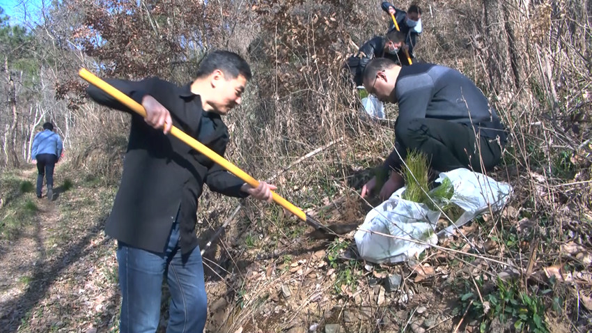 “党建引领 绿化造林”植树活动.jpg