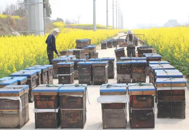 /uploads/image/2022/03/17/aa0a406fde077f7def67226b0edd59c8.jpg 2.jpg