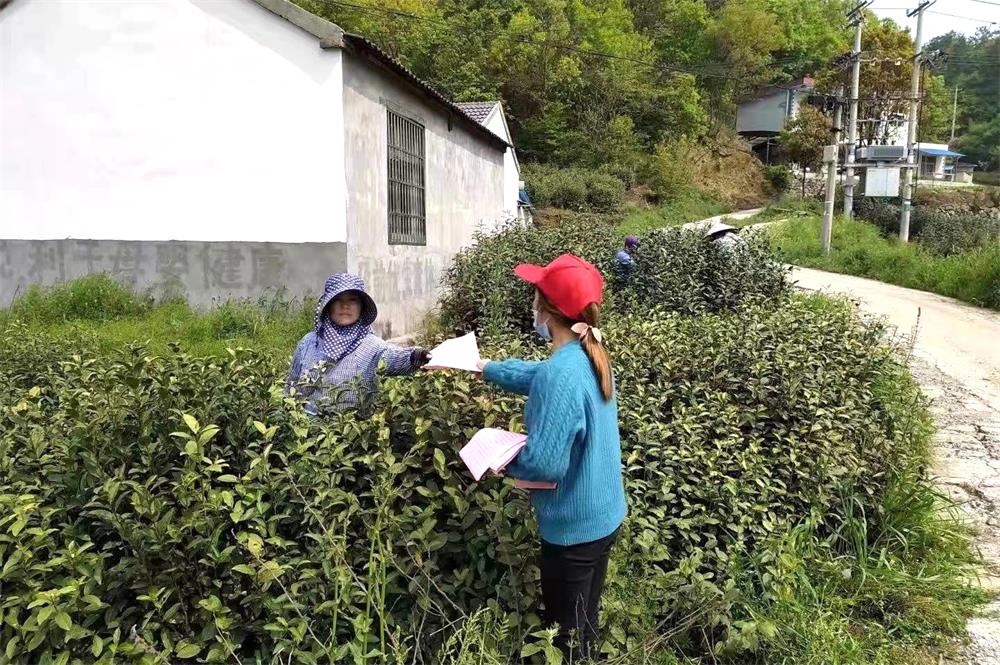 /uploads/image/2022/03/18/c96b5c6dc697fc27e4834959dfddf28d.jpg 2.jpg