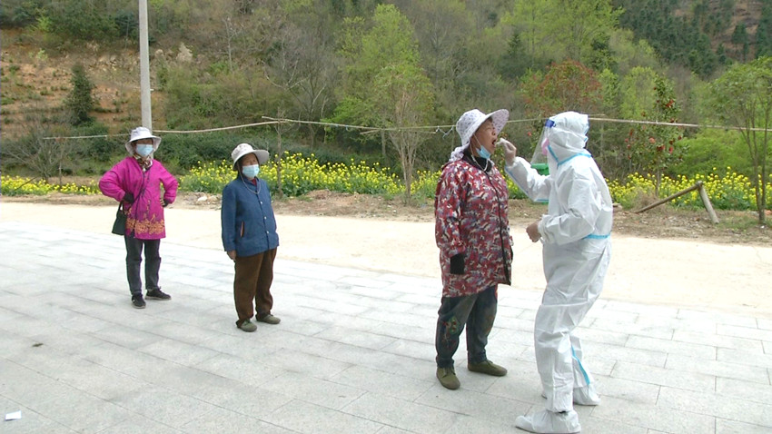 /uploads/image/2022/04/01/d4da0144890b2b4b7060029925fd5a7e.jpg 村医为新来的采茶工做核酸检测.jpg