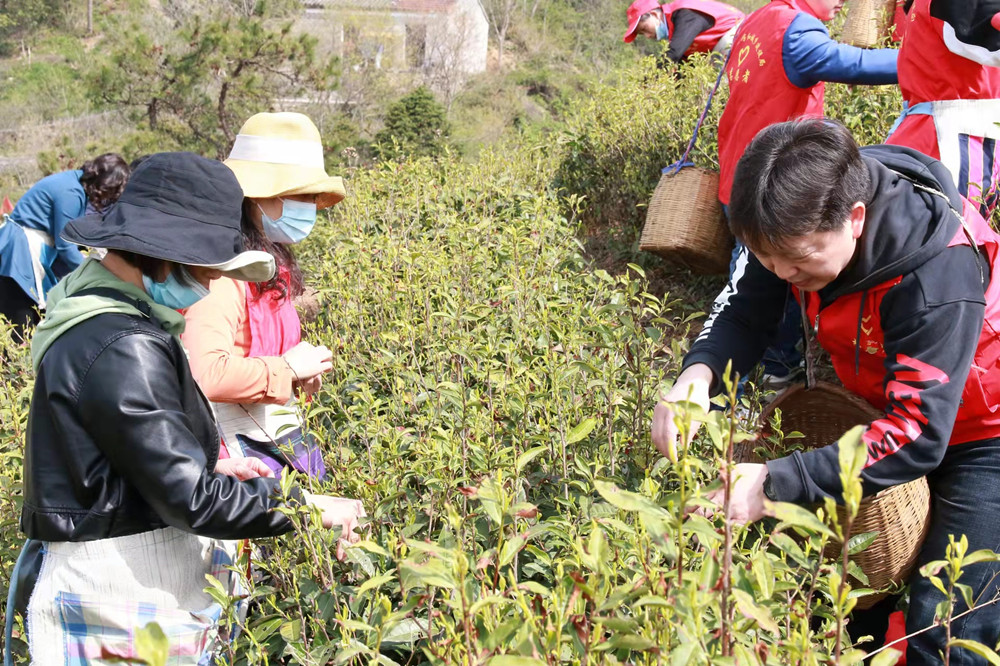 /uploads/image/2022/04/06/896be9d6affce575e90c504d31c81eda.jpg 3.jpg