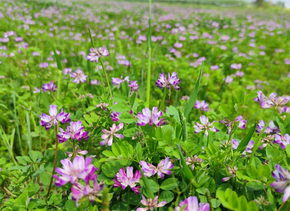 /uploads/image/2022/04/08/ae2aa27a25517857974206dc765acb58.jpg 4.jpg