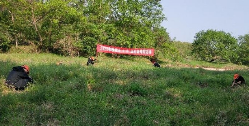 /uploads/image/2022/04/12/4fce8b3d03194ebd62cf6fc3b066761b.jpg proxy(1).jpg