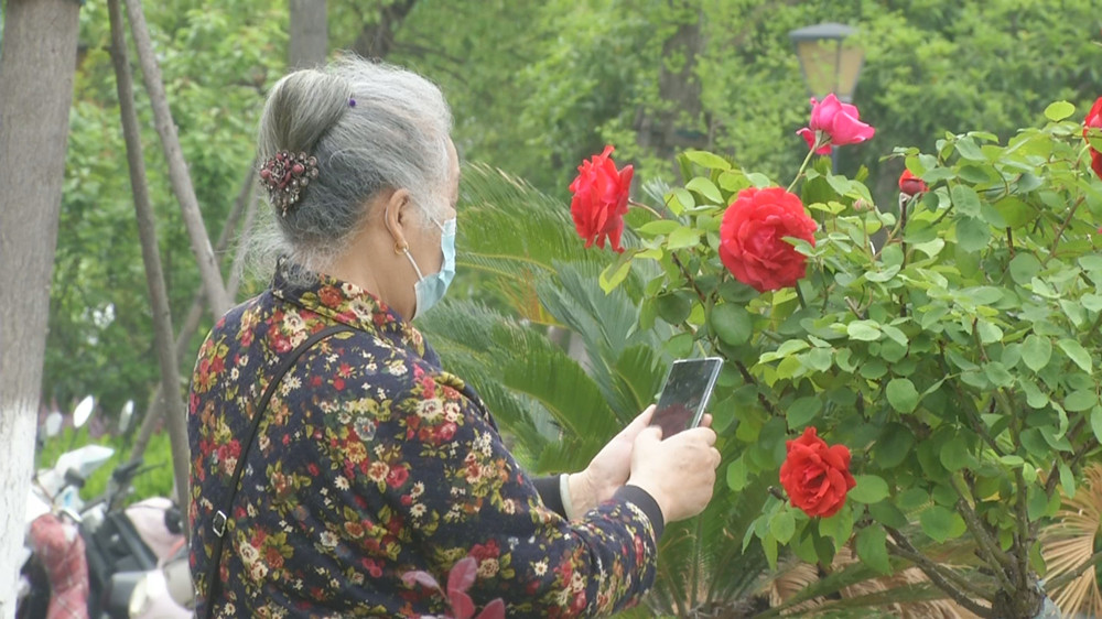 /uploads/image/2022/04/29/bd30b97f40c25d7ebcca262fcd505feb.jpg 微信图片_20220429114643.jpg