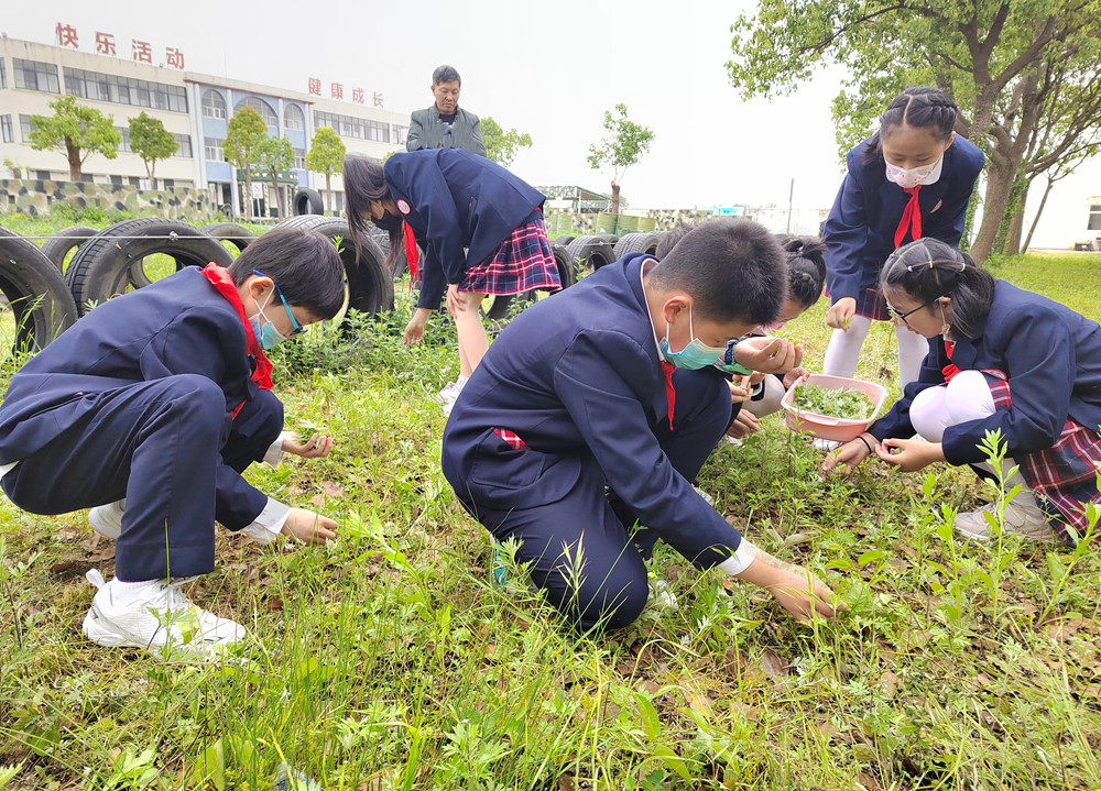 /uploads/image/2022/05/01/56c0f074d6f6c7214995882b25f025ae.jpg 2.jpg