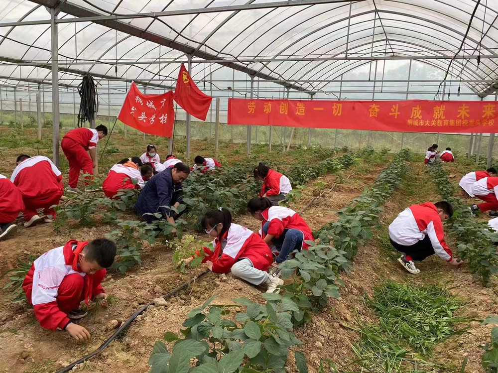 /uploads/image/2022/05/11/420e21b617efa986fc4c86b345405055.jpg 微信图片_20220511074748.jpg