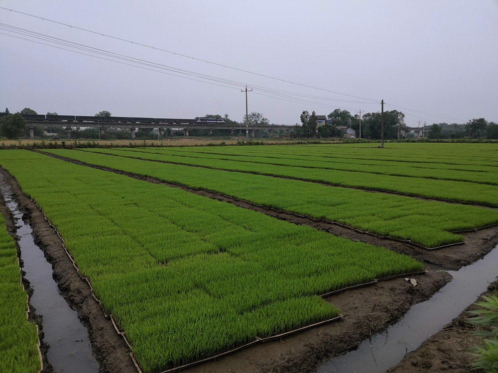 /uploads/image/2022/05/25/084e203f2c9c7aa5e5c565e74b1fa0ed.jpg 微信图片_20220525105331.jpg