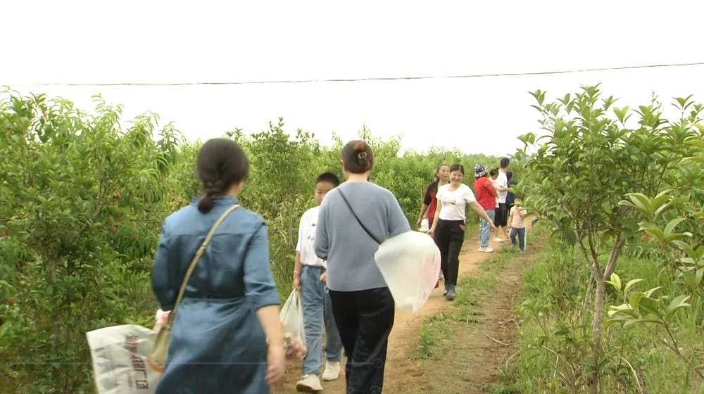 /uploads/image/2022/05/29/ac66f75ae8b8cb43aca1314da001aa84.jpg 1653799806(1)_副本.jpg