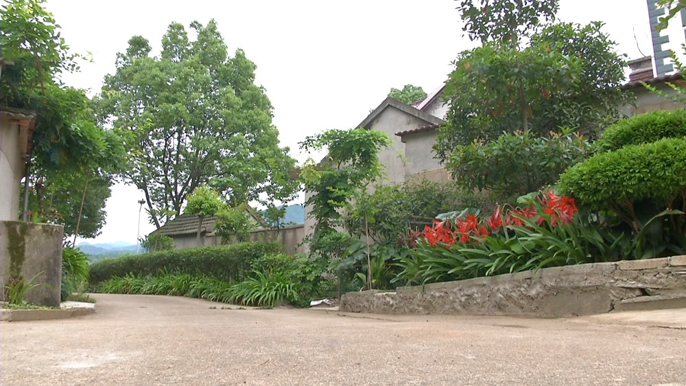 /uploads/image/2022/06/02/890c4226885a9dc9e93bb9b51356f421.jpg 高摆2.jpg