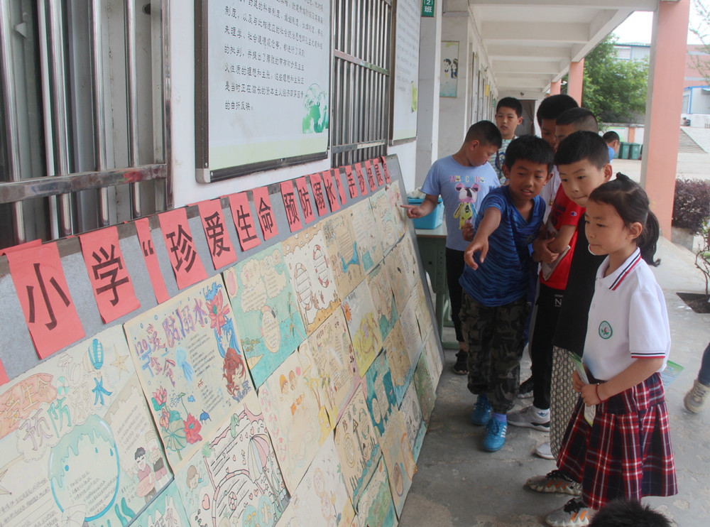 青草中心小学学生们在看自己绘制的防溺水手抄报.JPG