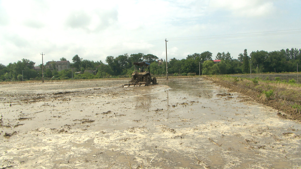 /uploads/image/2022/06/07/9118228e667a9b13f465b61be1534281.jpg 图为旋耕机在田间作业。.jpg