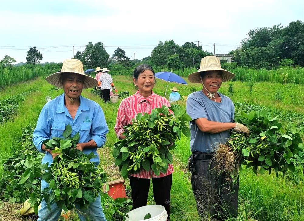 /uploads/image/2022/06/24/f81355d212d56b9e344c147fbeefe323.jpg 10.jpg