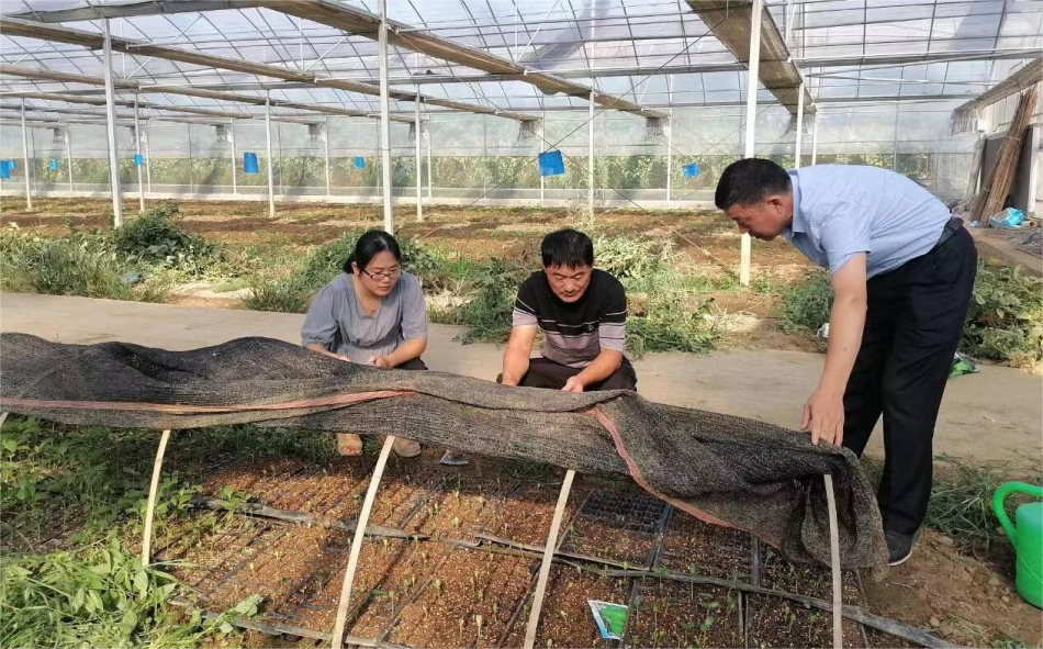 /uploads/image/2022/08/12/d1b7cdca5a0efd4799a7850c2bcb9aa1.png 450a2b1356566147029c38bc795d5fb(1).png