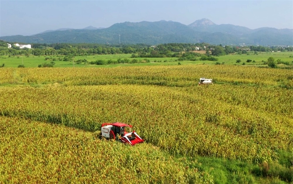 /uploads/image/2022/08/19/73c8e10dc07935a484e6b5b61528573d.jpg 12.jpg