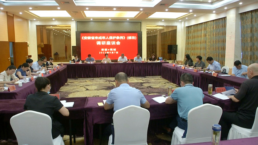 /uploads/image/2022/09/08/ede2352b2d265c7b72088250307a34a3.jpg 图为安徽省未成年人保护条例(修改)座谈会.jpg