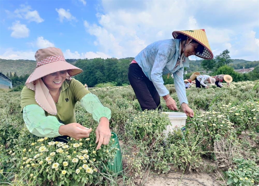 /uploads/image/2022/09/14/aec83dcbcfbae6dba3e12553c9fe825f.jpg 12.jpg