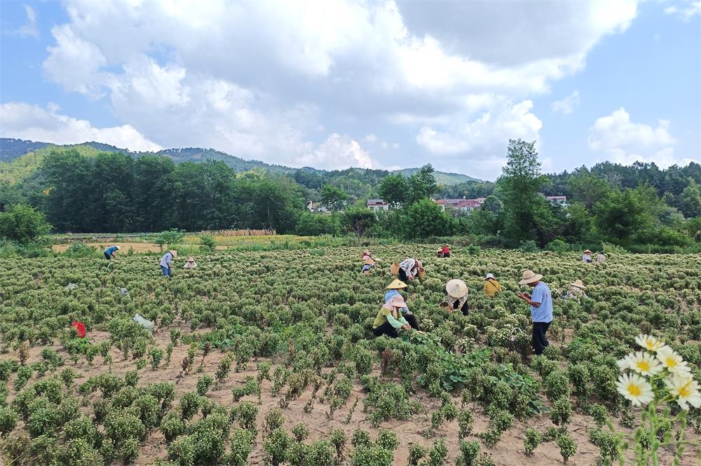 /uploads/image/2022/09/14/d92a535a3b5c40238f08909f8caa2b0a.jpg 10.jpg