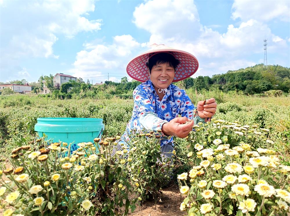 /uploads/image/2022/09/14/9442090f3aee50ccd30b00d1959a8ad1.jpg 13.jpg