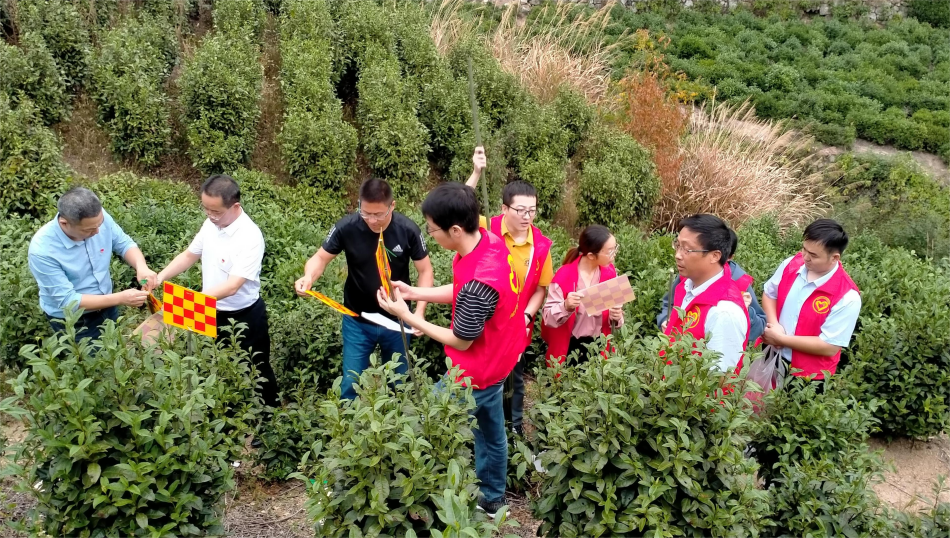 /uploads/image/2022/09/30/857a4c309fb648fb632dbe790d86f37a.png 农业农村局送粘虫板进茶园并提供技术指导(1).png