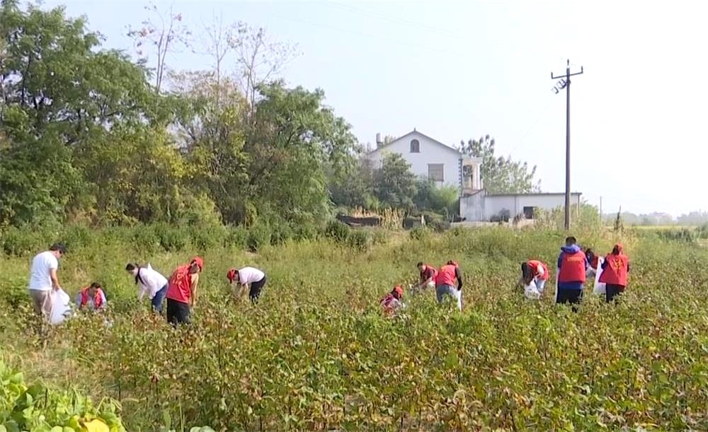 /uploads/image/2022/10/04/f24ff90ddef8f289a1db202dd0befb32.jpg 70.jpg