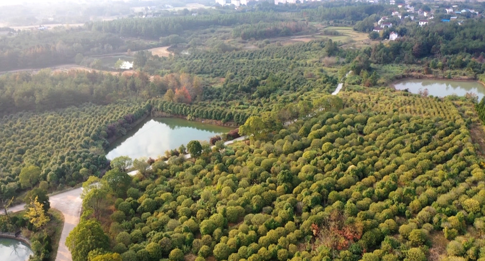 /uploads/image/2022/10/20/e6bca27ecfc0124e90c380491446ff35.jpg 微信图片_20221020155711.jpg