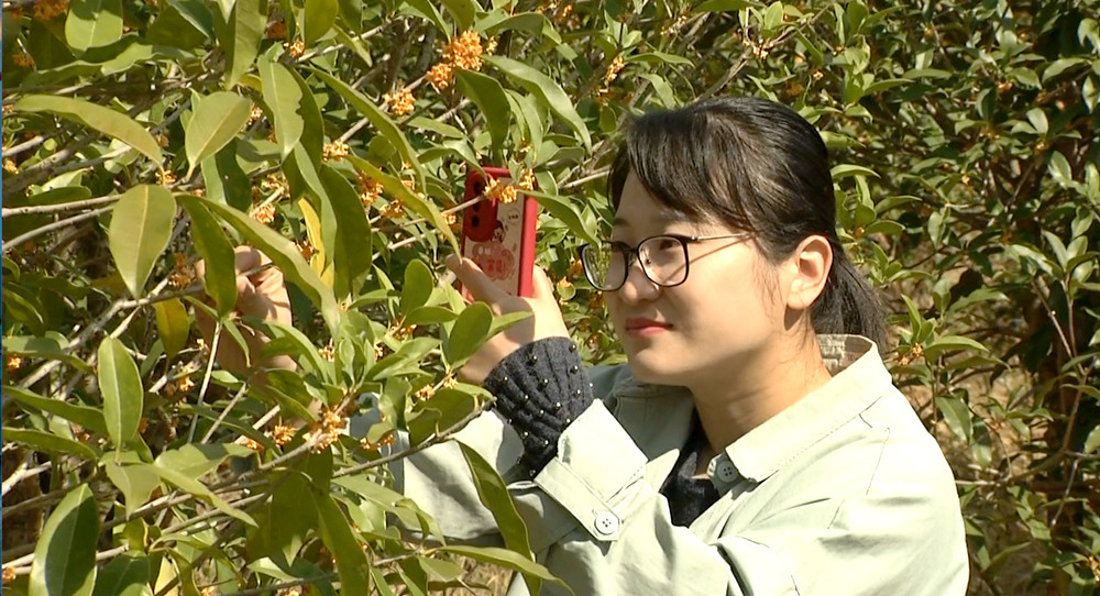 /uploads/image/2022/10/20/065cb10fb2a0917fae31f3f8d719fe36.jpg 微信图片_20221020155725.jpg