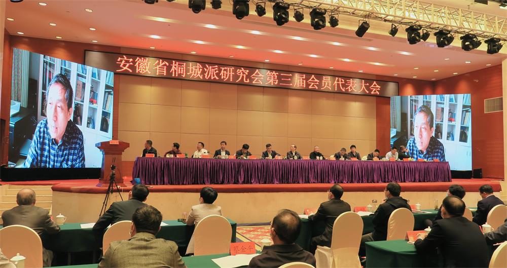 /uploads/image/2022/11/01/f9738058d2cbcd758e06fa44d0f8b391.jpg 6桐城派研究会顾问视频连线.jpg