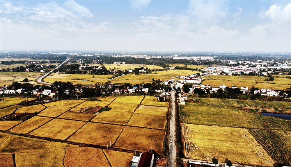 /uploads/image/2022/11/07/a9914d606aef54fd4e2a810fc115016a.png 2.png