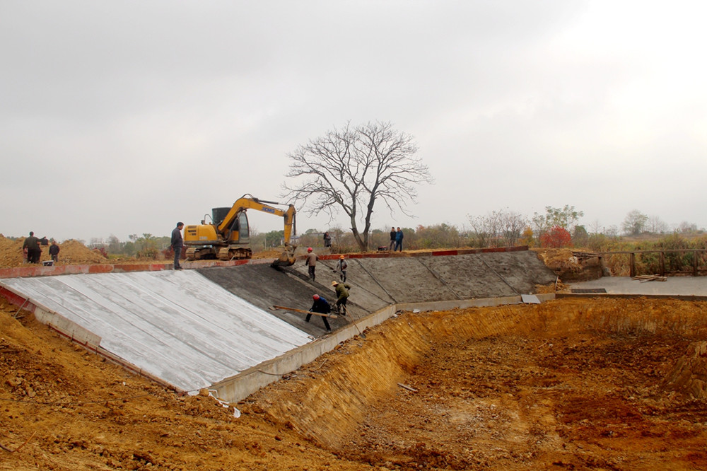 河堤护埂工程.JPG