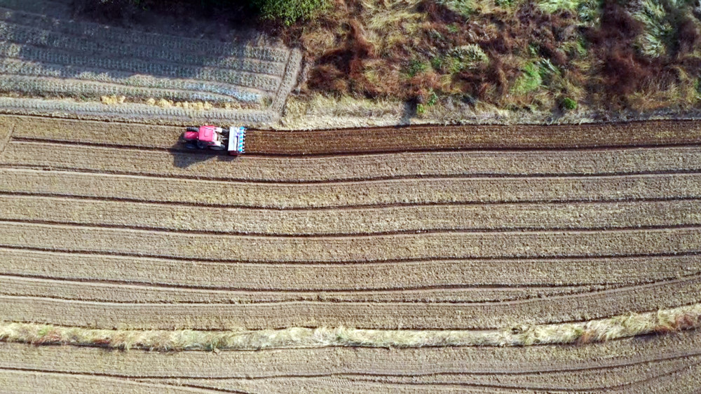 /uploads/image/2022/11/28/b6cbf2021021be92d039d55e51b26031.jpg 图为蚕豆机械化播种一体机正在高效作业.jpg