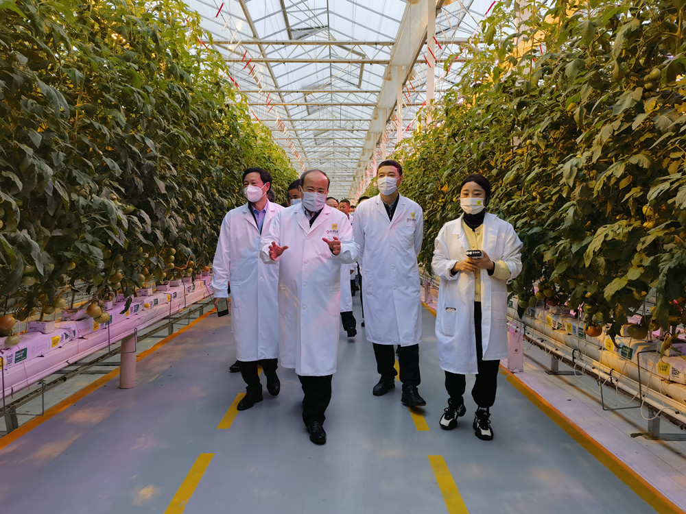 /uploads/image/2022/11/29/2355ceee9bef9554ea753f5848020da4.jpg 智慧产业园4.jpg