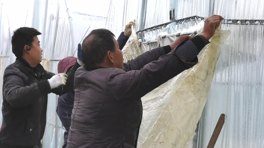 /uploads/image/2022/11/30/7bff2a18bf390fe199bd11196ee202d1.jpg 1669783993227.jpg